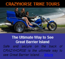 crazy-horse-ad