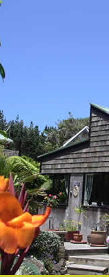 2013-07-29 12_42_49-Manuka Lodge – Great Barrier Island – Relax in the peace and quiet