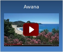 Awana