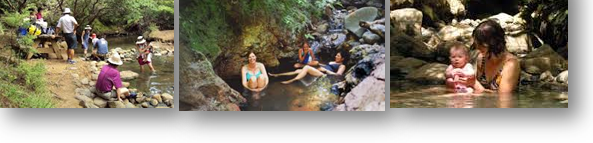 Hot Springs - Great Barrier Island Tourism