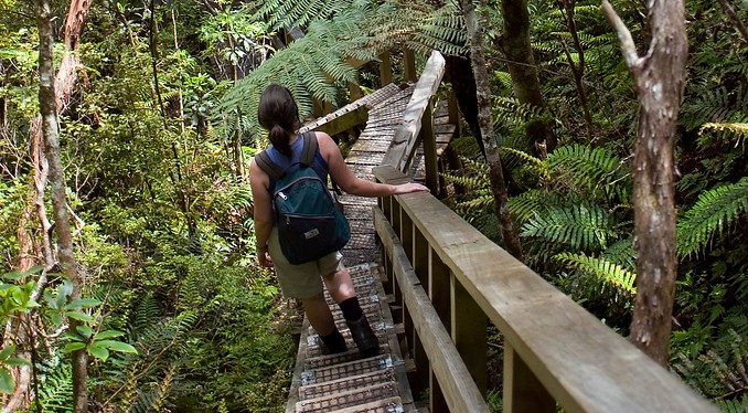 Department of Conservation plans to stay on track… Department of Conservation plans to stay on track…