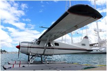 Auckland Seaplanes - Great Barrier Island Touriosm