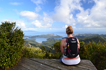 Mt Hobson - Gt Barrier Island