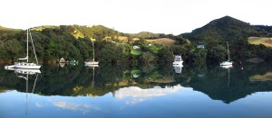 great-barrier-island-300×131