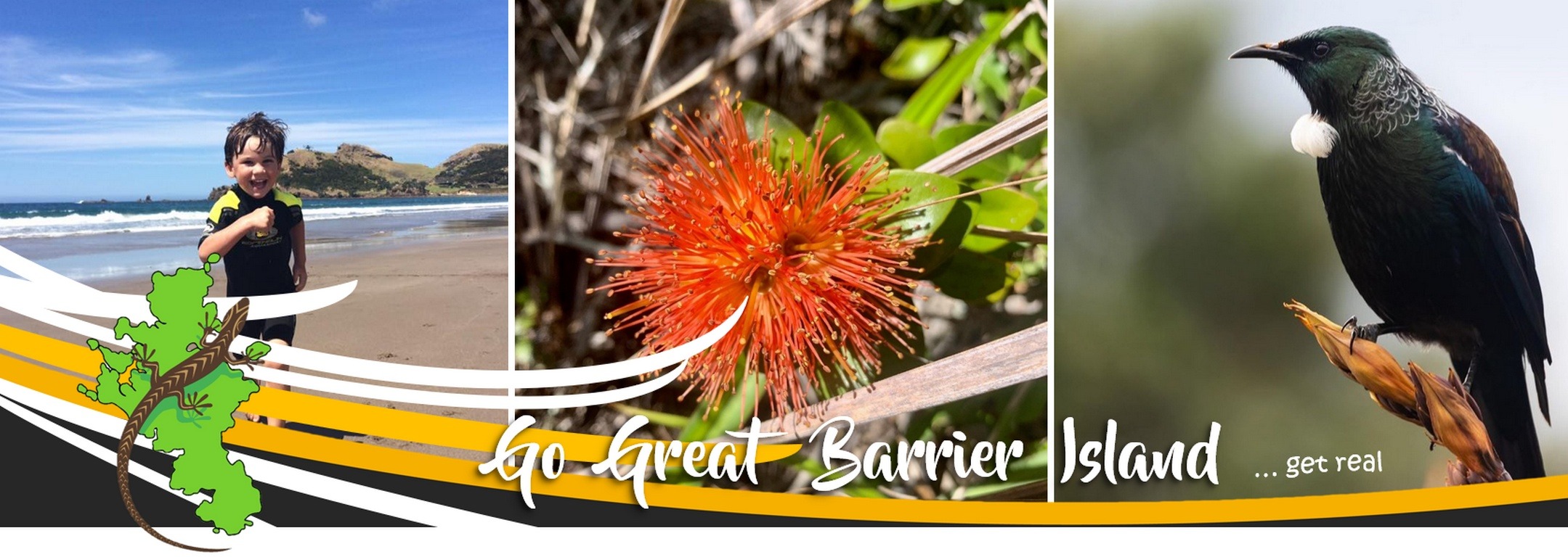 Go Great Barrier Island